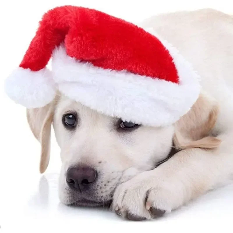 Natal animal de estimação papa - Santa Hat Plush avaliação e preço