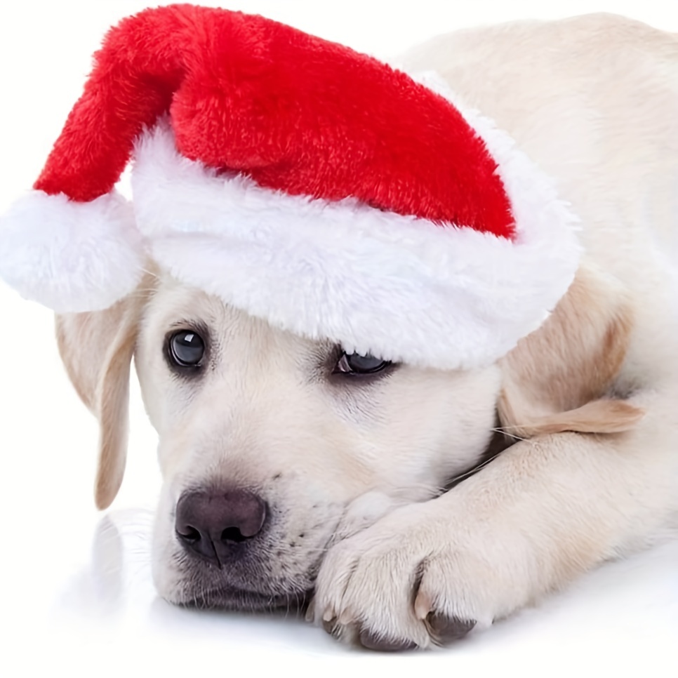 1-10 Peças de Chapéu de Natal  - Santa Hat Plush avaliação e preço