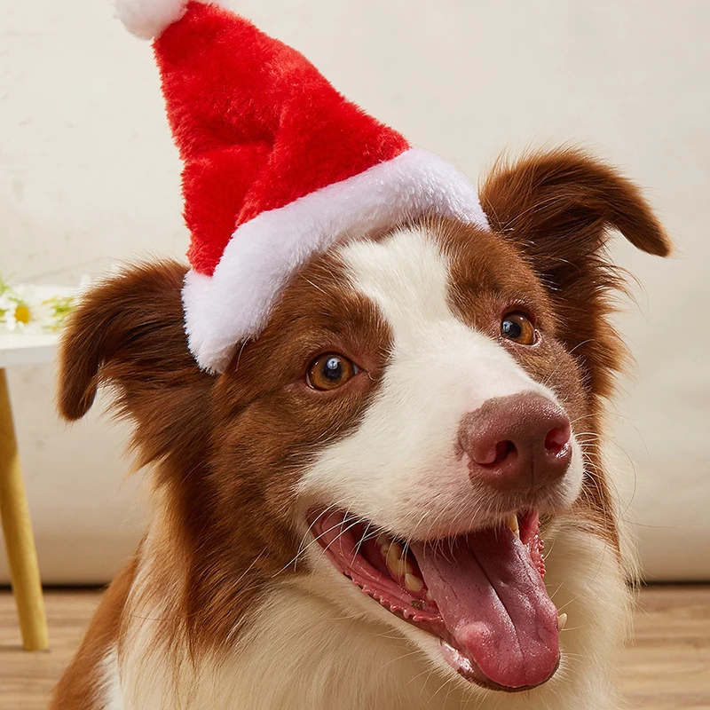 1-10 Peças de Chapéu de Natal  - Santa Hat Plush avaliação e preço